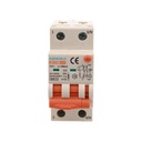 A2ZWORLD RCBO Interruttore Magnetotermico Differenziale Con Doppia Leva Tipo A Curva B 2P 2M 6000A 300mA, Diagnostica Visiva, B20A  AC 230V IP20 IEC61009-1 PL8M2