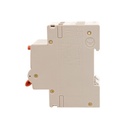 A2ZWORLD RCBO Interruttore Magnetotermico Differenziale Con Doppia Leva Tipo A Curva B 2P 2M 6000A 300mA, Diagnostica Visiva, B20A  AC 230V IP20 IEC61009-1 PL8M2
