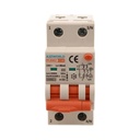 A2ZWORLD RCBO Interruttore Magnetotermico Differenziale Con Doppia Leva Tipo A Curva C 2P 2M 6000A 30mA, Diagnostica Visiva, C10A  AC 230V IP20 IEC61009-1 PL8M2