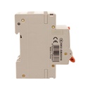 A2ZWORLD RCBO Interruttore Magnetotermico Differenziale Con Doppia Leva Tipo A Curva C 2P 2M 6000A 30mA, Diagnostica Visiva, C10A  AC 230V IP20 IEC61009-1 PL8M2