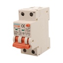 RCBO Interruttore Magnetotermico Differenziale Con Doppia Leva Tipo A Curva C 2P 2M 6000A 30mA, Diagnostica Visiva, C20A  AC 230V IP20 IEC61009-1 PL8M2 GB65320