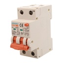 A2ZWORLD RCBO Interruttore Magnetotermico Differenziale Con Doppia Leva Tipo A Curva C 2P 2M 6000A 30mA, Diagnostica Visiva, C25A  AC 230V IP20 IEC61009-1 PL8M2 GB65325
