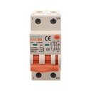 A2ZWORLD RCBO Interruttore Magnetotermico Differenziale Con Doppia Leva Tipo A Curva C 2P 2M 6000A 30mA, Diagnostica Visiva, C32A  AC 230V IP20 IEC61009-1 PL8M2 GB65332
