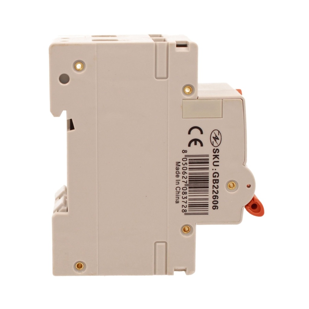 RCBO Interruttore Magnetotermico Differenziale Con Doppia Leva Tipo A Curva C 2P 2M 6000A 300mA, Diagnostica Visiva, C6A  AC 230V IP20 IEC61009-1 PL8M2 GB65606