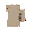 A2ZWORLD RCBO Interruttore Magnetotermico Differenziale Con Doppia Leva Tipo A Curva C 2P 2M 6000A 300mA, Diagnostica Visiva, C16A  AC 230V IP20 IEC61009-1 PL8M2 GB65616