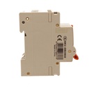 A2ZWORLD RCBO Interruttore Magnetotermico Differenziale Con Doppia Leva Tipo A Curva C 2P 2M 6000A 300mA, Diagnostica Visiva, C32A  AC 230V IP20 IEC61009-1 PL8M2 GB65632