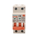 A2ZWORLD RCBO Interruttore Magnetotermico Differenziale Con Doppia Leva Tipo A Curva C 2P 2M 6000A 300mA, Diagnostica Visiva, C40A  AC 230V IP20 IEC61009-1 PL8M2