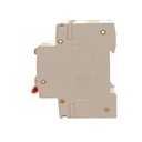 A2ZWORLD RCBO Doppia Leva, Interruttore Magnetotermico Differenziale Tipo AC Curva C 1P+N 2M 6000A 30mA C10A AC 230V IP20 IEC61009-1 PL8HM