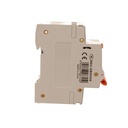 A2ZWORLD RCBO Doppia Leva, Interruttore Magnetotermico Differenziale Tipo AC Curva C 1P+N 2M 6000A 30mA C20A AC 230V IP20 IEC61009-1 PL8HM