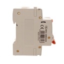 A2ZWORLD RCBO Doppia Leva, Interruttore Magnetotermico Differenziale Tipo AC Curva C 1P+N 2M 6000A 30mA C25A AC 230V IP20 IEC61009-1 PL8HM