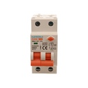 A2ZWORLD RCBO Doppia Leva, Interruttore Magnetotermico Differenziale Tipo AC Curva C 1P+N 2M 6000A 300mA C16A AC 230V IP20 IEC61009-1 PL8HM