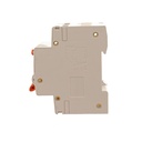 A2ZWORLD RCBO Doppia Leva, Interruttore Magnetotermico Differenziale Tipo AC Curva C 1P+N 2M 6000A 300mA C16A AC 230V IP20 IEC61009-1 PL8HM