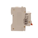 A2ZWORLD RCBO Doppia Leva, Interruttore Magnetotermico Differenziale Tipo AC Curva C 1P+N 2M 6000A 300mA C16A AC 230V IP20 IEC61009-1 PL8HM