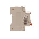 A2ZWORLD RCBO Doppia Leva, Interruttore Magnetotermico Differenziale Tipo AC Curva C 1P+N 2M 6000A 300mA C25A AC 230V IP20 IEC61009-1 PL8HM