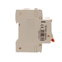 A2ZWORLD RCBO Doppia Leva, Interruttore Magnetotermico Differenziale Tipo AC Curva C 1P+N 2M 6000A 300mA C32A AC 230V IP20 IEC61009-1 PL8HM