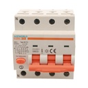 A2ZWORLD RCBO Interruttore Magnetotermico Differenziale Tipo AC Curva C 3P+N 4M 6000A 300mA C32A AC 400V IP20 IEC61009-1 PL8M4