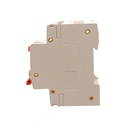 A2ZWORLD RCBO Doppia Leva, Interruttore Magnetotermico Differenziale Tipo A Curva C 1P+N 2M 6000A 30mA C16A AC 230V IP20 IEC61009-1 PL8HM