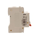 A2ZWORLD RCBO Doppia Leva, Interruttore Magnetotermico Differenziale Tipo A Curva C 1P+N 2M 6000A 30mA C16A AC 230V IP20 IEC61009-1 PL8HM