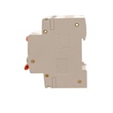 A2ZWORLD RCBO Doppia Leva, Interruttore Magnetotermico Differenziale Tipo A Curva C 1P+N 2M 6000A 30mA C25A AC 230V IP20 IEC61009-1 PL8HM