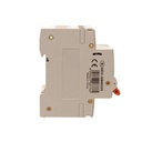 A2ZWORLD RCBO Doppia Leva, Interruttore Magnetotermico Differenziale Tipo A Curva C 1P+N 2M 6000A 30mA C25A AC 230V IP20 IEC61009-1 PL8HM