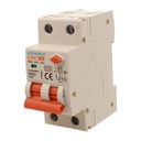 A2ZWORLD RCBO Doppia Leva, Interruttore Magnetotermico Differenziale Tipo A Curva C 1P+N 2M 6000A 30mA C32A AC 230V IP20 IEC61009-1 PL8HM