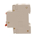 A2ZWORLD RCBO Doppia Leva, Interruttore Magnetotermico Differenziale Tipo A Curva C 1P+N 2M 6000A 30mA C32A AC 230V IP20 IEC61009-1 PL8HM