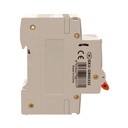 A2ZWORLD RCBO Doppia Leva, Interruttore Magnetotermico Differenziale Tipo A Curva C 1P+N 2M 6000A 30mA C32A AC 230V IP20 IEC61009-1 PL8HM