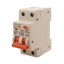 A2ZWORLD RCBO Doppia Leva, Interruttore Magnetotermico Differenziale Tipo A Curva C 1P+N 2M 6000A 300mA C6A AC 230V IP20 IEC61009-1 PL8HM