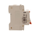 A2ZWORLD RCBO Doppia Leva, Interruttore Magnetotermico Differenziale Tipo A Curva C 1P+N 2M 6000A 300mA C6A AC 230V IP20 IEC61009-1 PL8HM