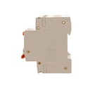 RCBO Doppia Leva, Interruttore Magnetotermico Differenziale Tipo A Curva C 1P+N 2M 6000A 300mA C10A AC 230V IP20 IEC61009-1 PL8HM