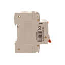 A2ZWORLD RCBO Doppia Leva, Interruttore Magnetotermico Differenziale Tipo A Curva C 1P+N 2M 6000A 300mA C10A AC 230V IP20 IEC61009-1 PL8HM