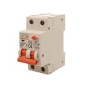 A2ZWORLD RCBO Doppia Leva, Interruttore Magnetotermico Differenziale Tipo A Curva C 1P+N 2M 6000A 300mA C16A AC 230V IP20 IEC61009-1 PL8HM
