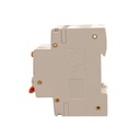 A2ZWORLD RCBO Doppia Leva, Interruttore Magnetotermico Differenziale Tipo A Curva C 1P+N 2M 6000A 300mA C16A AC 230V IP20 IEC61009-1 PL8HM
