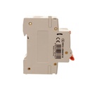 A2ZWORLD RCBO Doppia Leva, Interruttore Magnetotermico Differenziale Tipo A Curva C 1P+N 2M 6000A 300mA C16A AC 230V IP20 IEC61009-1 PL8HM