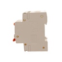 A2ZWORLD RCBO Doppia Leva, Interruttore Magnetotermico Differenziale Tipo A Curva C 1P+N 2M 6000A 300mA C20A AC 230V IP20 IEC61009-1 PL8HM