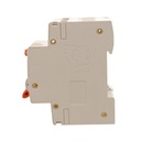 A2ZWORLD RCBO Doppia Leva, Interruttore Magnetotermico Differenziale Tipo A Curva C 1P+N 2M 6000A 300mA C32A AC 230V IP20 IEC61009-1 PL8HM
