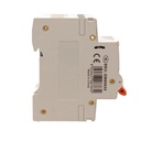 A2ZWORLD RCBO Doppia Leva, Interruttore Magnetotermico Differenziale Tipo A Curva C 1P+N 2M 6000A 300mA C32A AC 230V IP20 IEC61009-1 PL8HM