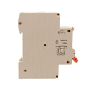 RCBO Interruttore Magnetotermico Differenziale Tipo A Curva C 1P+N 1M 6000A 30mA C32A AC 230V IP20 IEC61009-1 PL8HT GB57332
