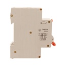 RCBO Interruttore Magnetotermico Differenziale Tipo A Curva C 1P+N 1M 6000A 30mA C6A AC 230V IP20 IEC61009-1 PL8HT GB57306