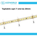 24V Striscia Led SMD Da 10 Metri, 20W/M 135lm/W 238SMD/M, Bianco Freddo 6500K, Larga 10mm, Dimmerabile PWM, Tagliabile ogni 7 smd da 29mm, IP20, CRI>80