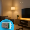 Centralina Controller Per Striscia Led CCT WIFI 2.4G, RF 2.4G TUYA, Smart Life Max 15A Tot. (6A/CH) DC5-24V 360W 2 Canali CCT CLC102R Bianco