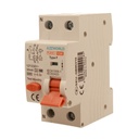 RCBO Interruttore Magnetotermico Differenziale Tipo F Curva C 1P+N 2M 6000A 30mA C10A AC 230V IP20 IEC61009-1