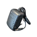 24V Trasformatore Alimentatore 24W 1A con Spina da Presa 220V a DC 24V Nero