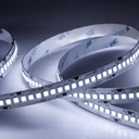 Striscia LED SMD 2835 24V, 5 Metri, Larga 10mm, Freddo 6500K, Super Luminoso 24W/M 4000LM/M 160LM/W 240SMD/M, Dimmerabile PWM, Tagliabile ogni 33mm, IP20, CRI>80