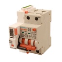 RCBO Interruttore Magnetotermico Differenziale Con Riarmo Automatico, Tipo A Curva B 2P Veri 3M 6000A 30mA, B6A AC 230V IP20 PL8M2, 3 Tentativi (10s/60s/300s)