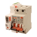 RCBO Interruttore Magnetotermico Differenziale Con Riarmo Automatico, Tipo A Curva B 2P Veri 3M 6000A 300mA, B6A  AC 230V IP20 PL8M2, 3 Tentativi (10s/60s/300s)