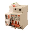 RCBO Interruttore Magnetotermico Differenziale Con Riarmo Automatico, Tipo A Curva C 2P Veri 3M 6000A 30mA, C25A  AC 230V IP20 PL8M2, 3 Tentativi (10s/60s/300s)