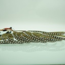 Striscia LED WS2815 RGB 12V 96 LED/m PCB Nero 3OZ 5m Indirizzabile con Adesivo 3M