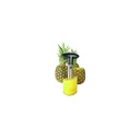Taglia Ananas in Acciaio Inox