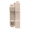 MCB Interruttore Magnetotermico WIFI Con Riarmo Automatico, Curva B 1P+N 2M 6000A AC 230V PN8H, Disponibile 6A 10A 16A 20A 25A 32A